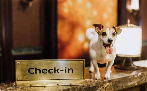 Pasay Cheap Pet Friendly Hotels .